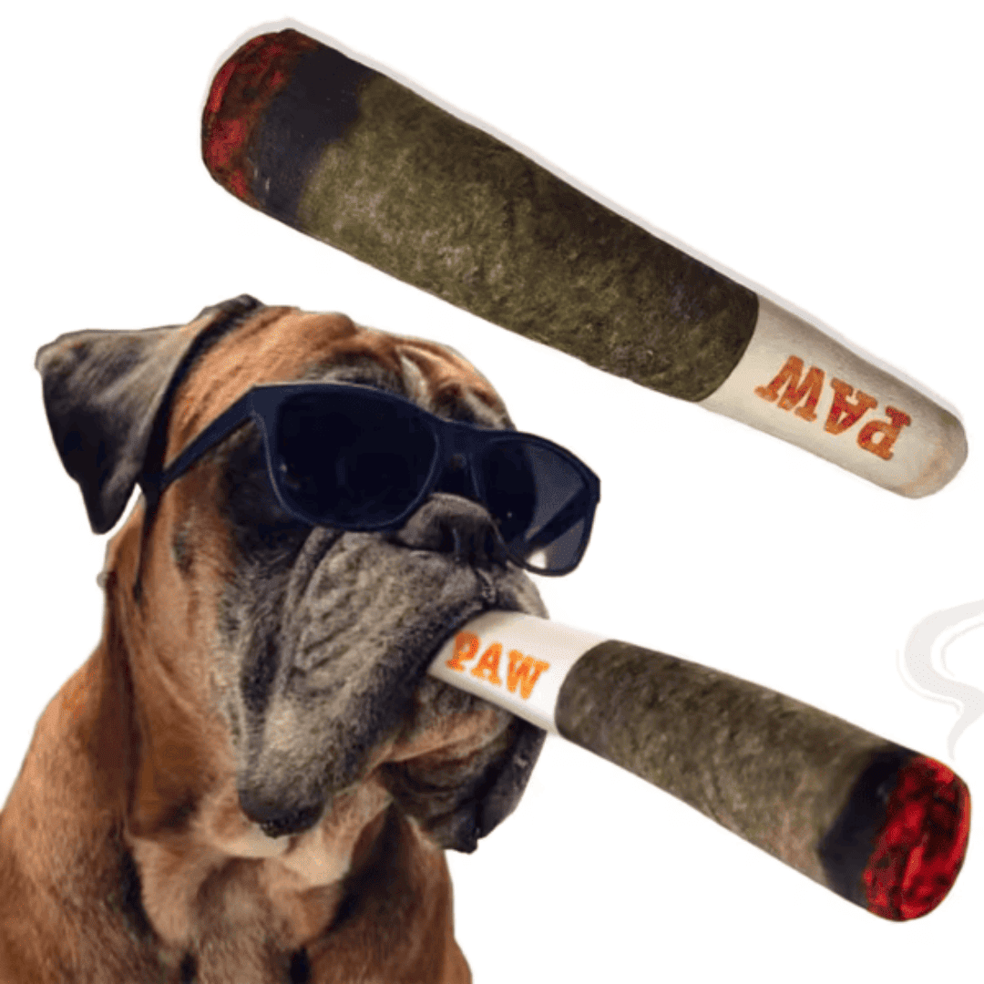 RAW – DOGG Cigar Toy