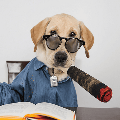 RAW – DOGG Cigar Toy